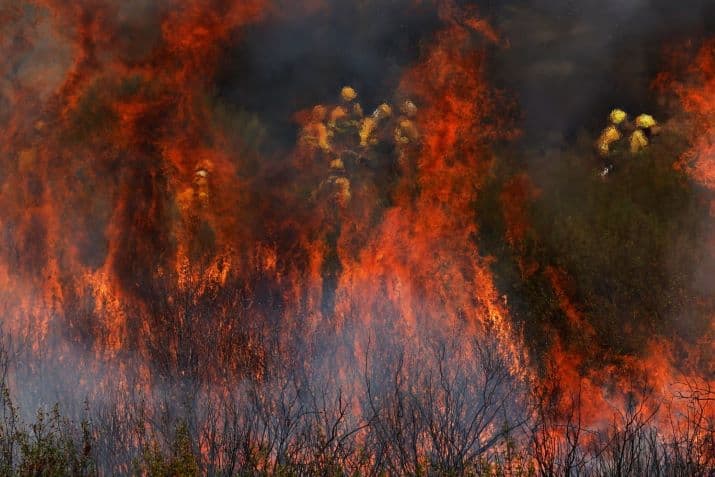 Kebakaran Hutan Melanda Eropa Selatan: Yunani, Spanyol, dan Turki dalam Siaga Darurat