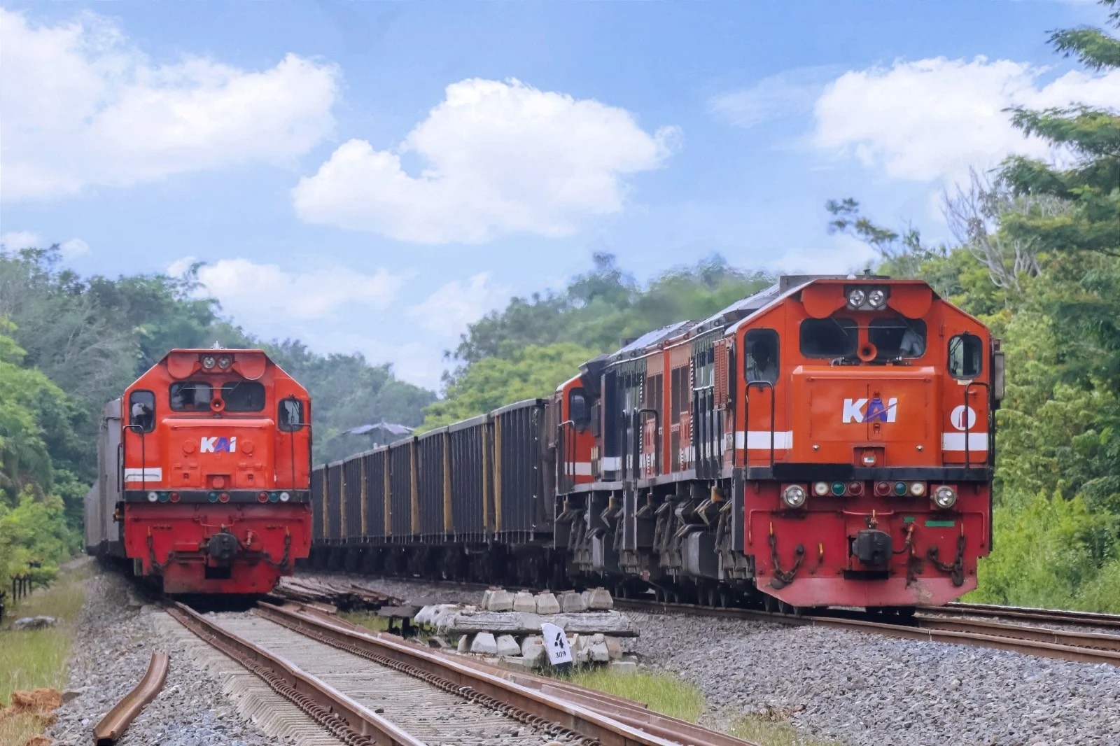 Angkutan Batu Bara KAI Tembus 47,7 Juta Ton hingga Oktober 2025, Naik 4,3 Persen