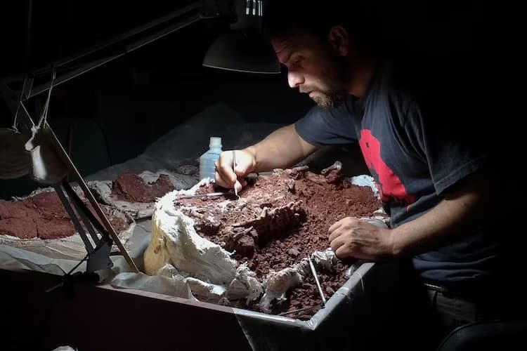 Spesies Baru Dinosaurus Berleher Panjang Ditemukan di Pegunungan Argentina