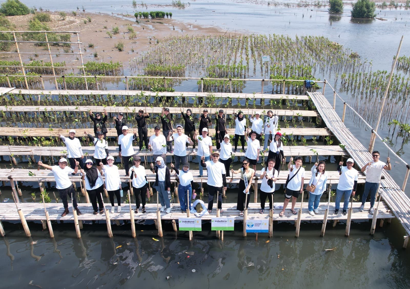 Sambut Hari Habitat Sedunia, Cermati Tanam Mangrove untuk Jaga Kelestarian Lingkungan