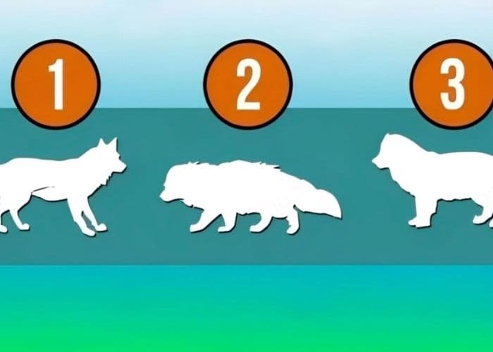 Tes Psikologi: Pilih Serigala Terkuat dan Temukan Aspek Kunci Karakter Anda