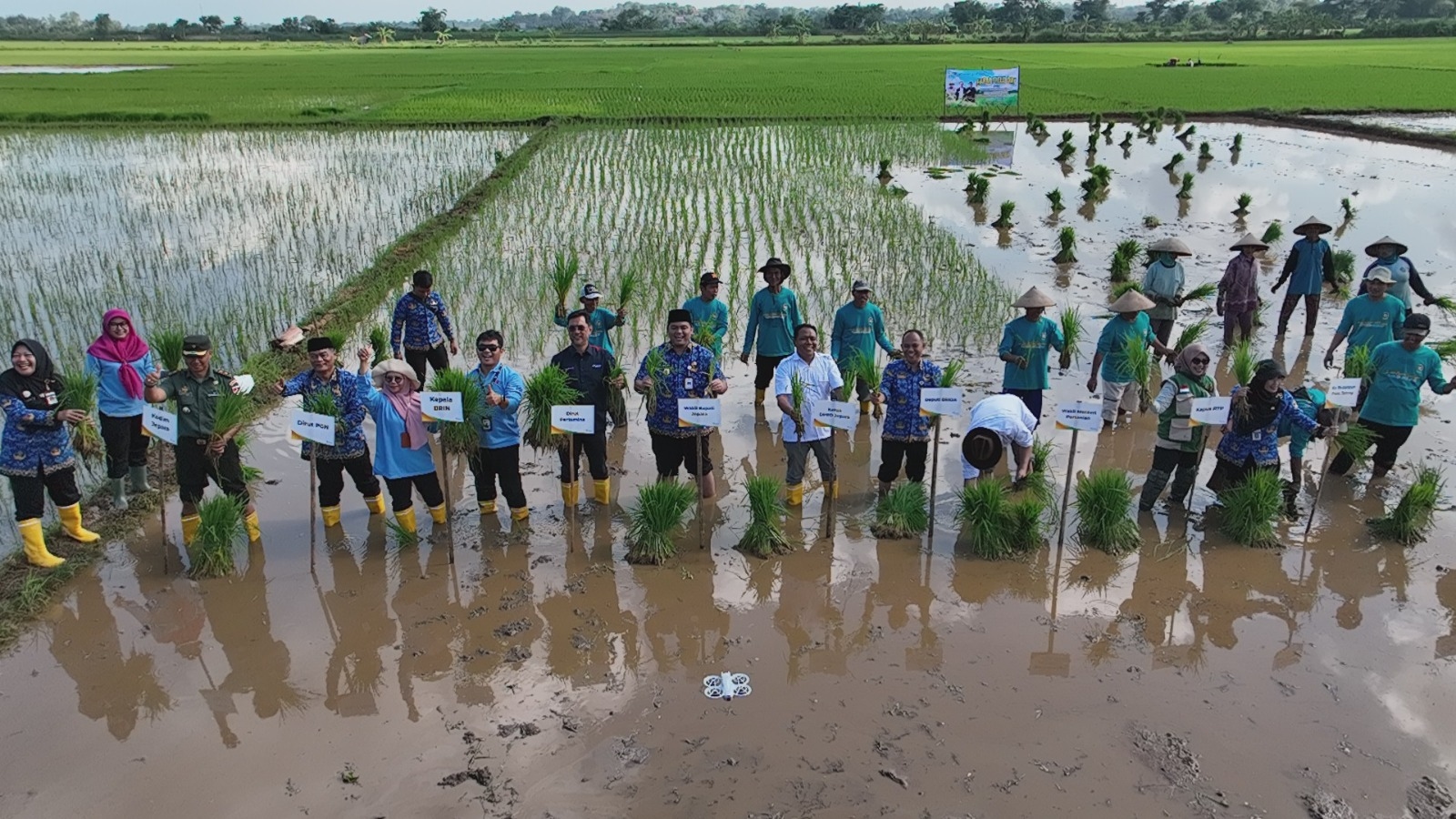 Lewat Padi Biosalin, PGN dan BRIN Hidupkan Kembali Lahan Tidur di Pesisir Jepara Untuk Dorong Ketahanan Pangan
