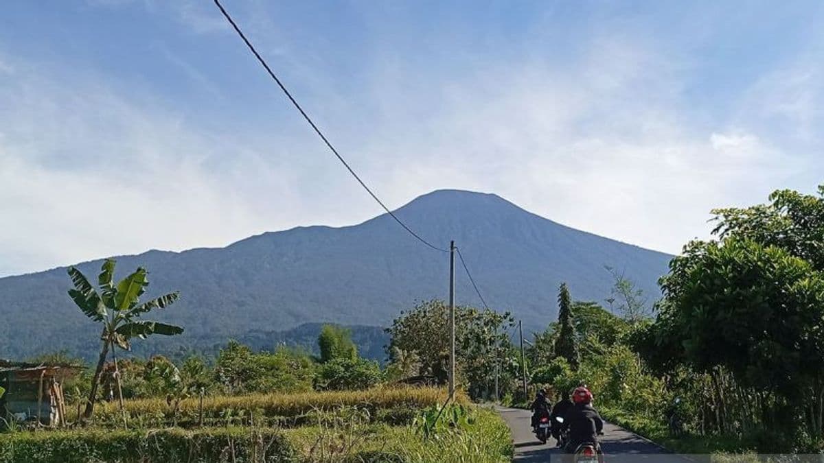 ESDM: Tak Ada Aktivitas Tambang di Bukaan Lahan Lereng Gunung Slamet