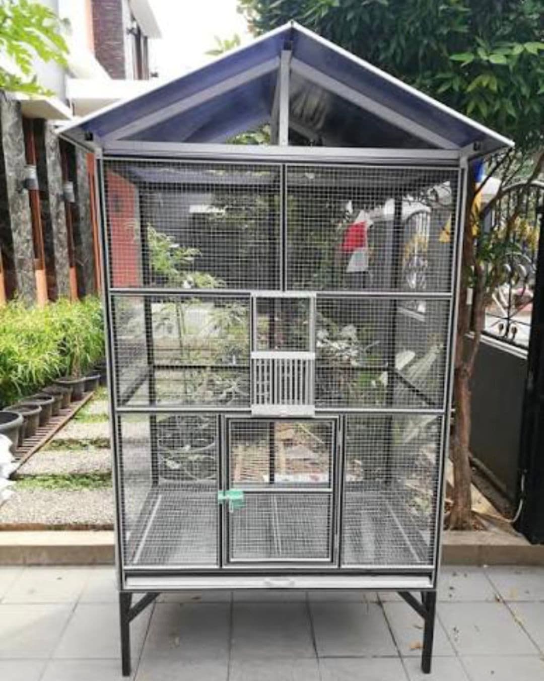 Bau Kandang Burung Menyengat di Sekitar Rumah? Ini Cara Mengatasinya