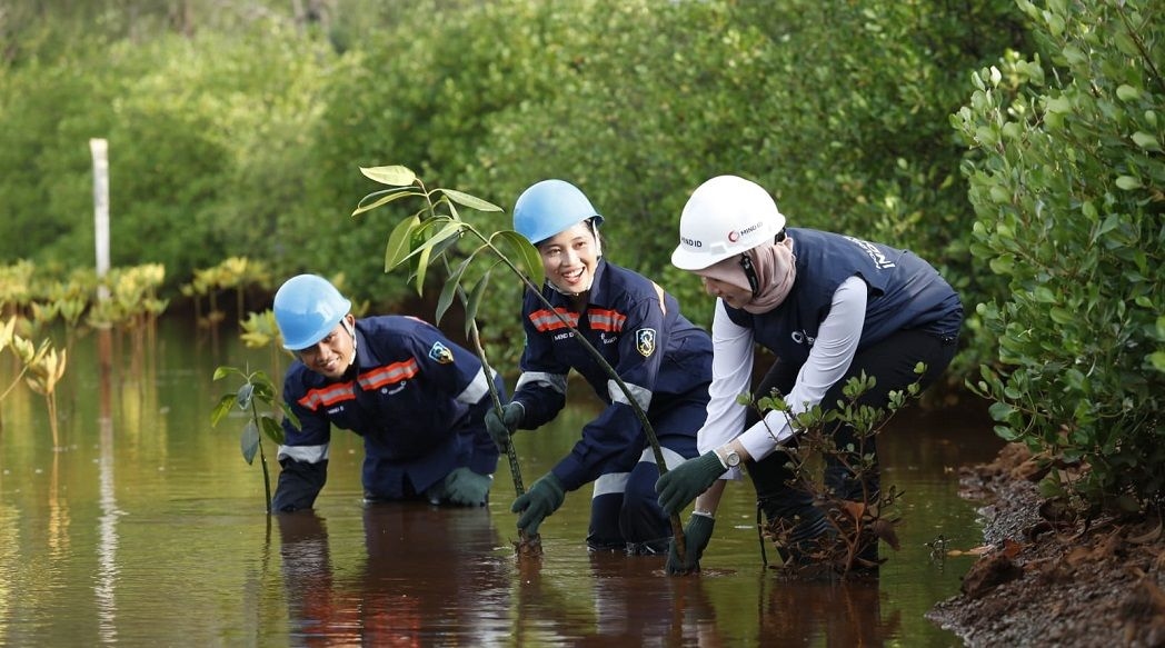 Perusahaan Tambang Pelat Merah Wajib Perkuat Operasional Bertanggung Jawab Terhadap Lingkungan