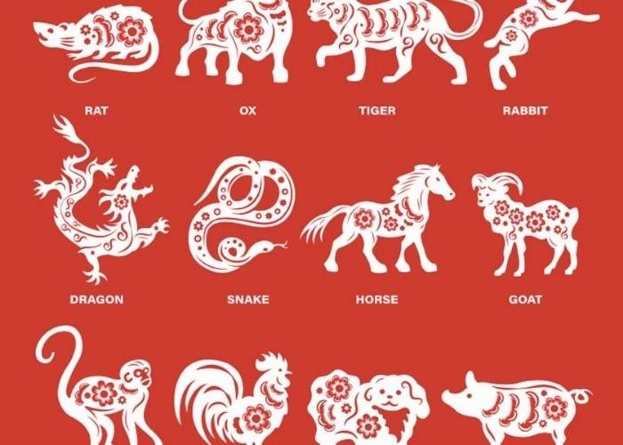 Ramalan Shio Siang Ini 20 Februari 2026: Waspada dan Manfaatkan Peluang