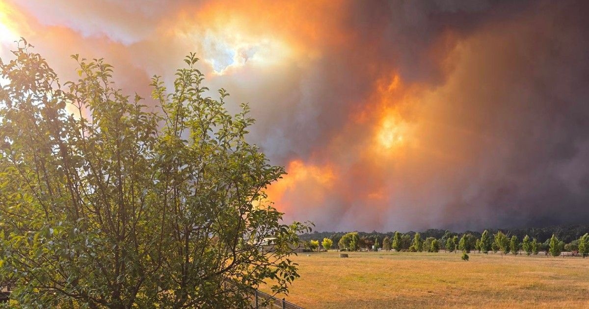 Gelombang Panas Picu Ancaman Kebakaran Hutan, Melbourne Hadapi Suhu Terpanas Dalam 17 Tahun