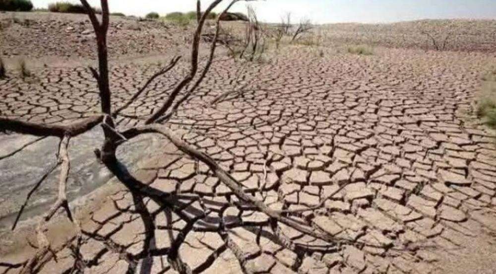 Kekeringan hingga Kebakaran Akibat El Nino Menghantui, BPBD Jakarta Siapkan Langkah Mitigasi